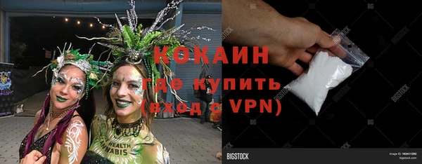 соль ск Богданович