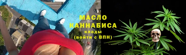 соль ск Богданович