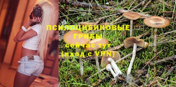 соль ск Богданович