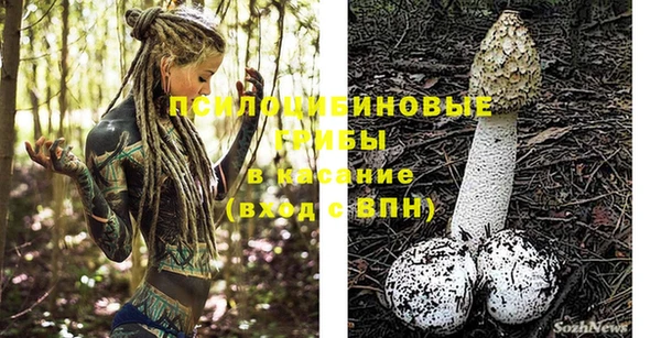 соль ск Богданович