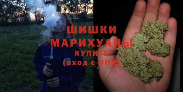 соль ск Богданович