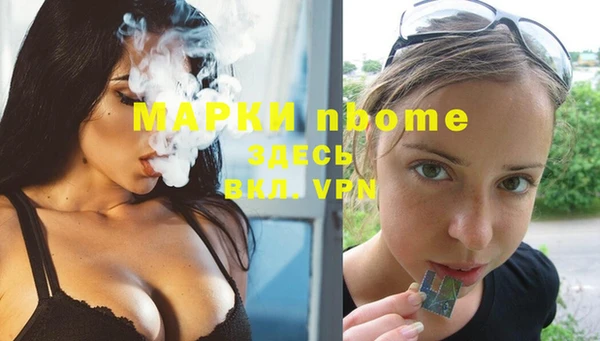 соль ск Богданович